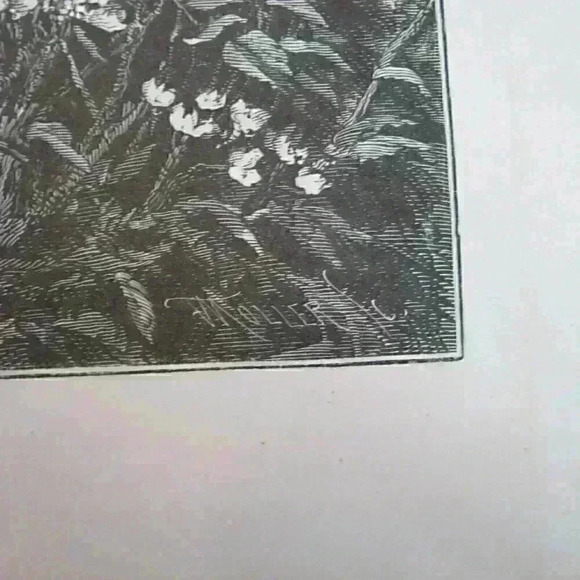 Art Print Hemlock Trees Lake Otsego New York Nature John A. Hows Antique 1874 - Picture 7 of 12